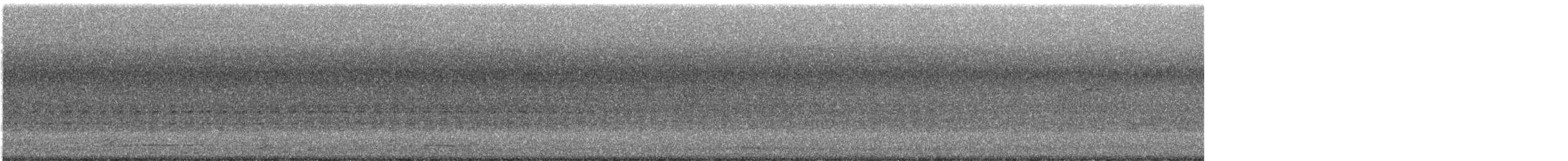 Chouette rayée - ML170176341