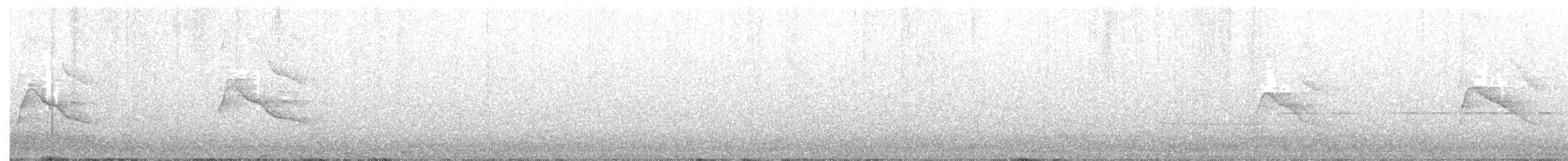 Épervier de Cooper - ML170176851