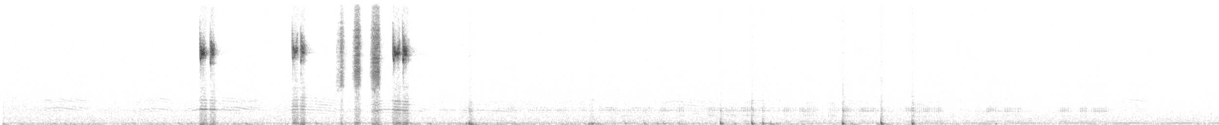 Кущовик білочеревий [група maculatus] - ML170202171