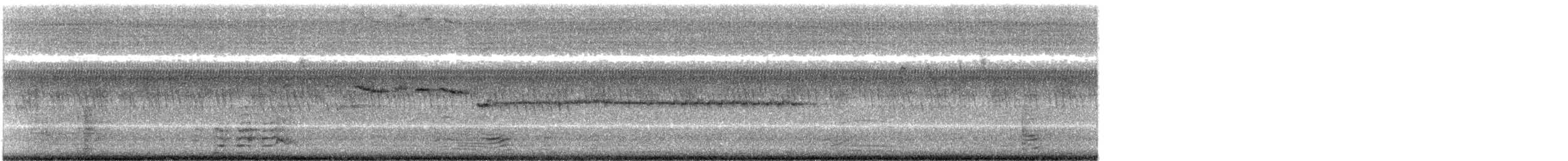 Gray-throated Babbler - ML170231811