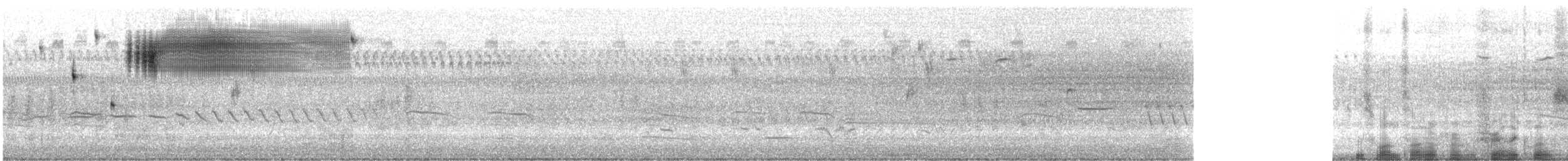 Кузнечиковая овсянка-барсучок - ML170236101