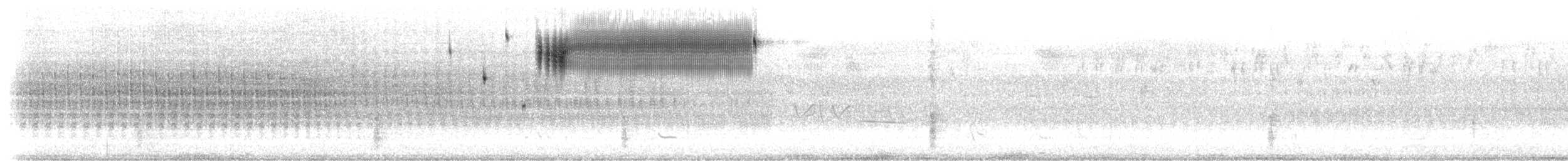 Кузнечиковая овсянка-барсучок - ML170236741