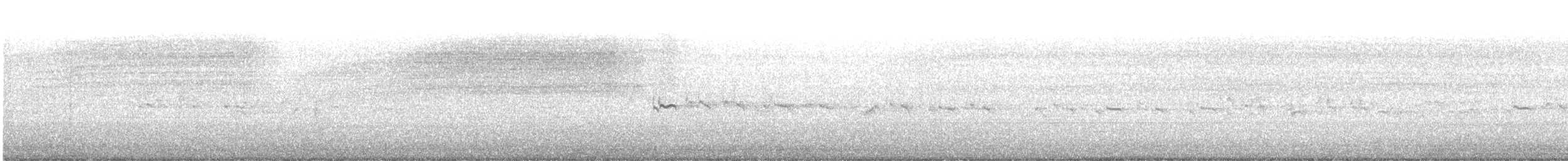 Least Tern - ML170281971