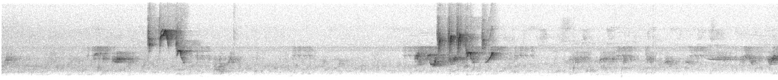 Длинноклювая нектарница - ML170288041