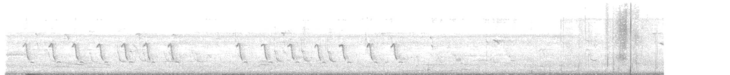 Sastrecillo Común - ML170291031