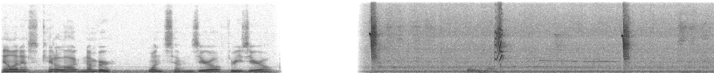 Black-headed Saltator - ML17030