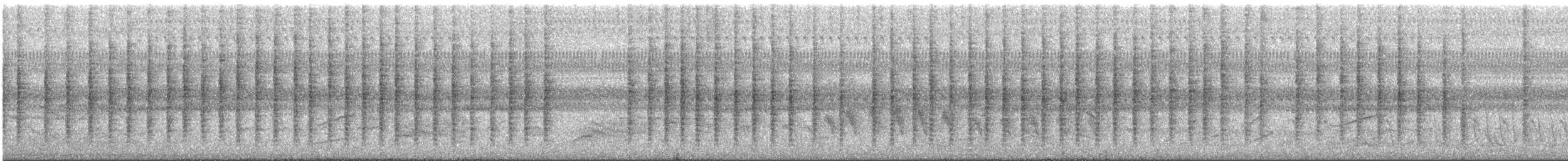 Guarayoszaunkönig - ML170300131