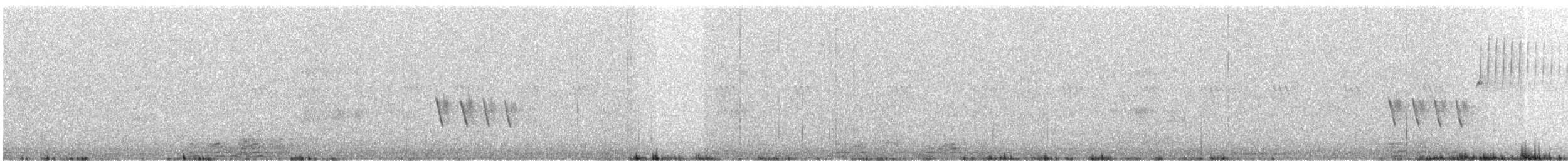 Тауї плямистий - ML170363551