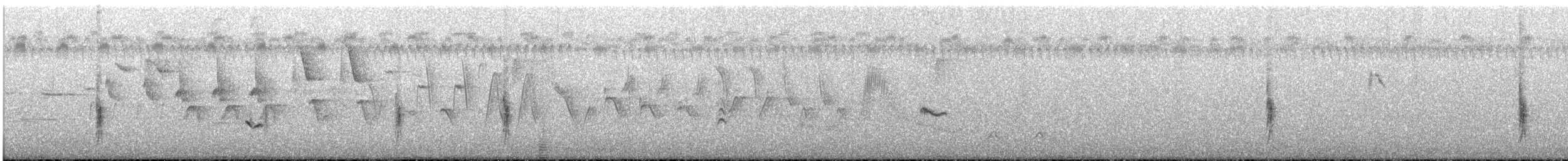 Orchard Oriole - ML170386131