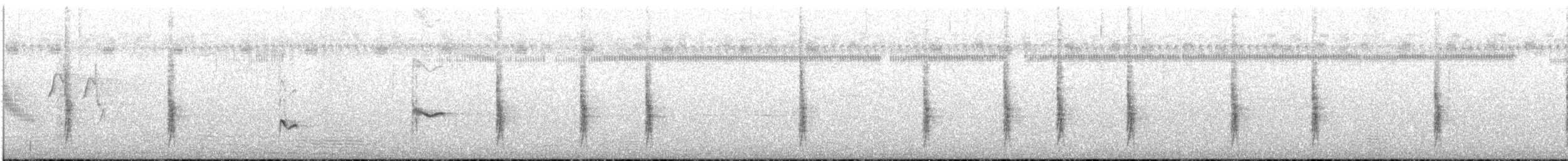 Orchard Oriole - ML170386371