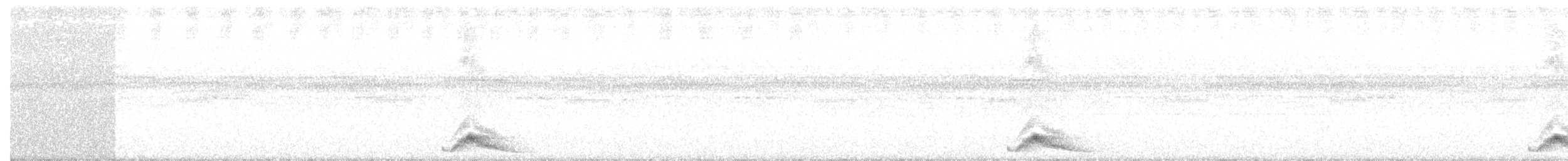 Pauraquenachtschwalbe - ML170395561