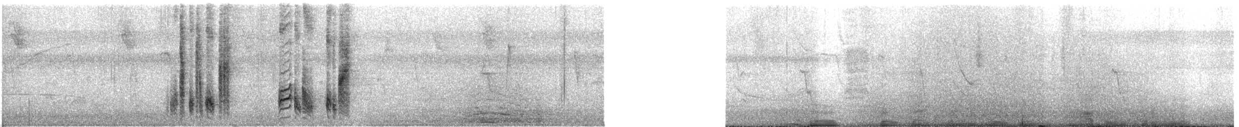 Stripe-backed Wren - ML170407381