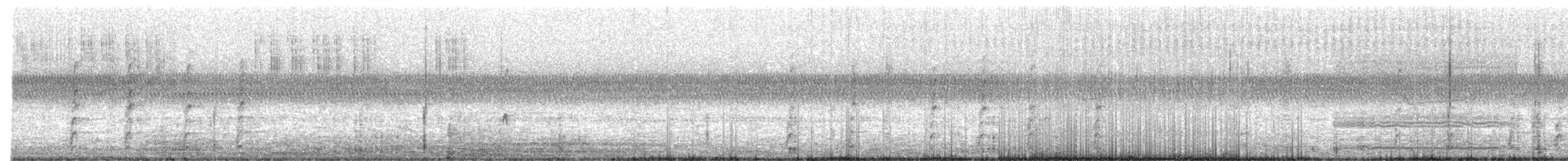 Schwarznacken-Stelzenläufer - ML170410031