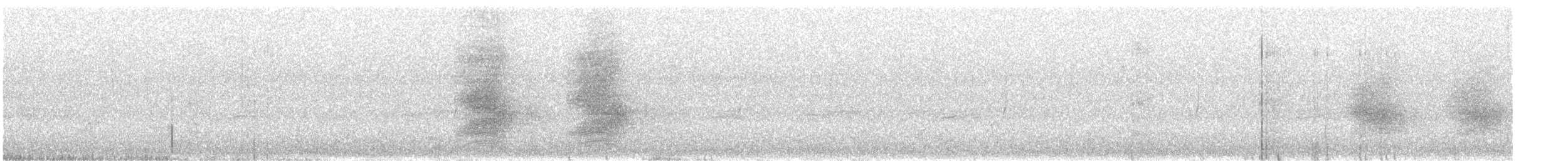 furuskrike (diademata gr.) - ML170433091