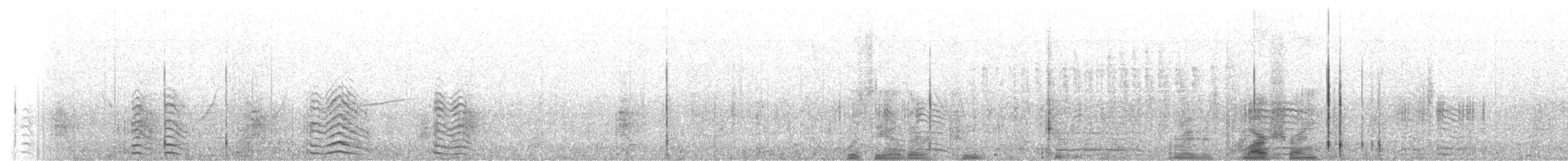 Американская лысуха (Red-shielded) - ML170492011