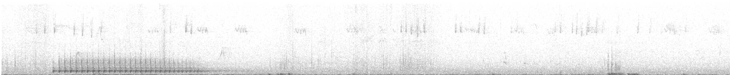 Pic à dos rayé (fasciatus) - ML170495691
