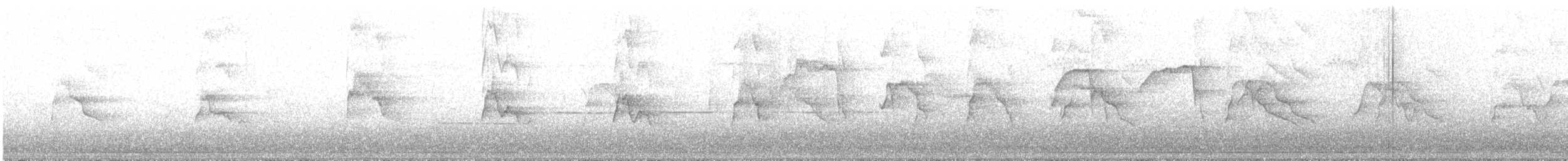 Épervier de Cooper - ML170504671