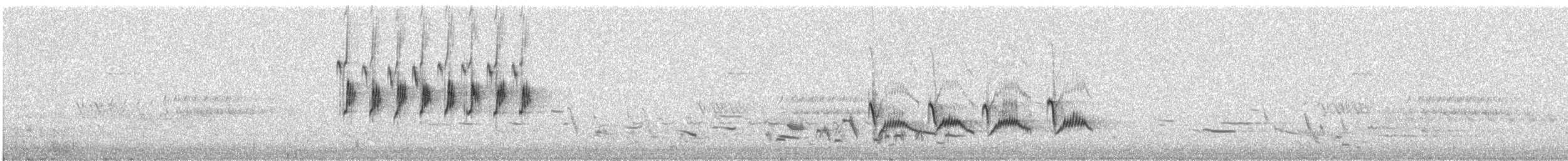 Kaya Çıtkuşu - ML170525021
