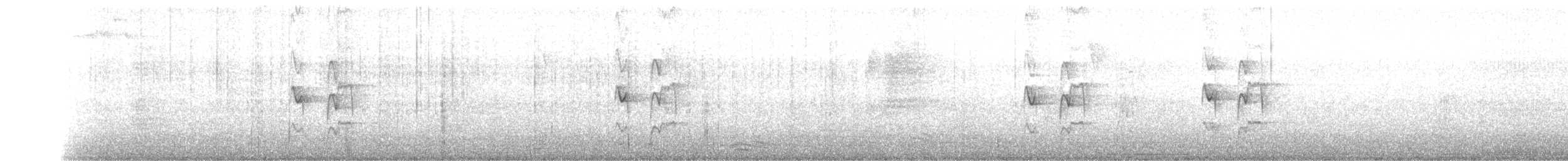 Graustirn-Dickichtschlüpfer - ML170561781