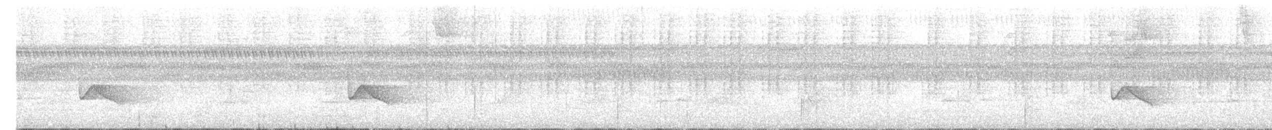 Белокрылая сорокопутовая танагра - ML170610851