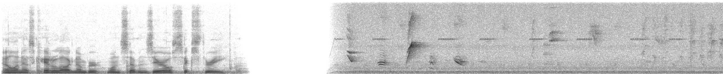 Olive-gray Saltator - ML17063