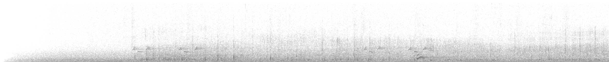 Черноклювая гагара - ML170640261