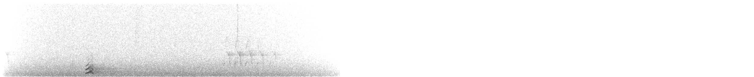 Common Loon - ML170640271