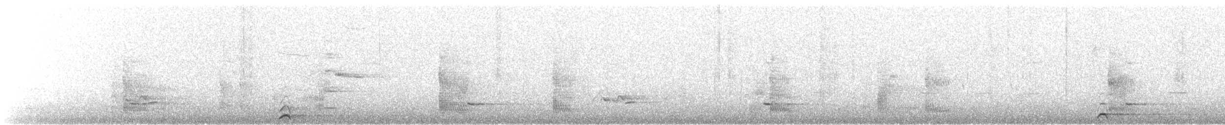 Common Loon - ML170640321