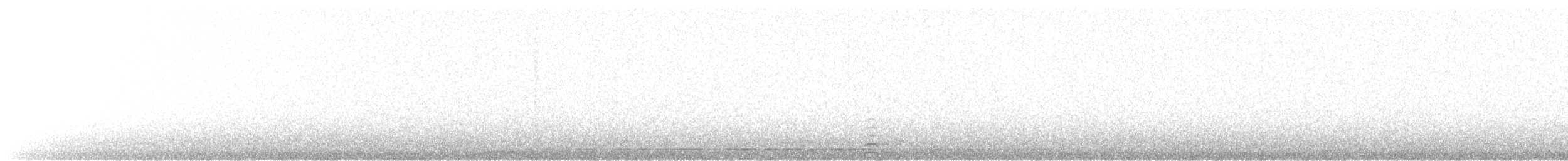 Common Loon - ML170640771