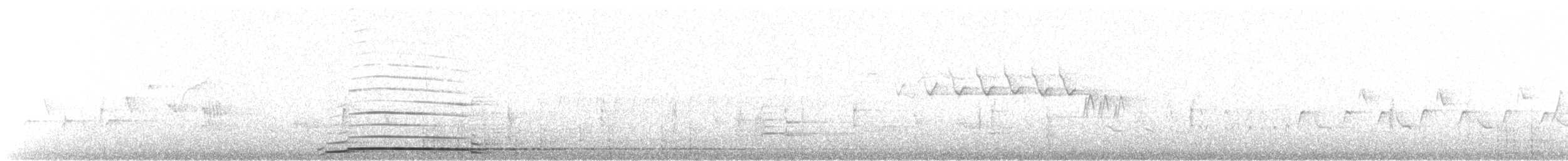 Plongeon huard - ML170641401