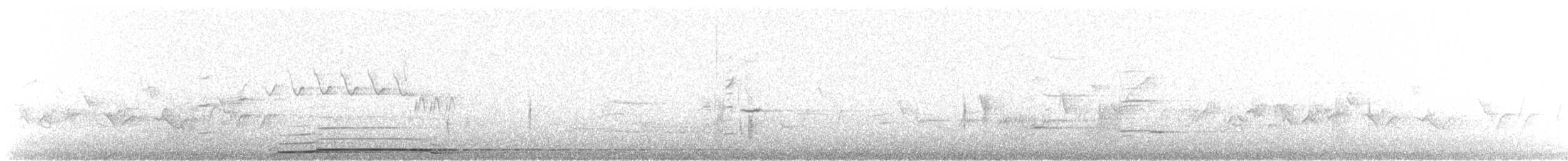 Common Loon - ML170641421