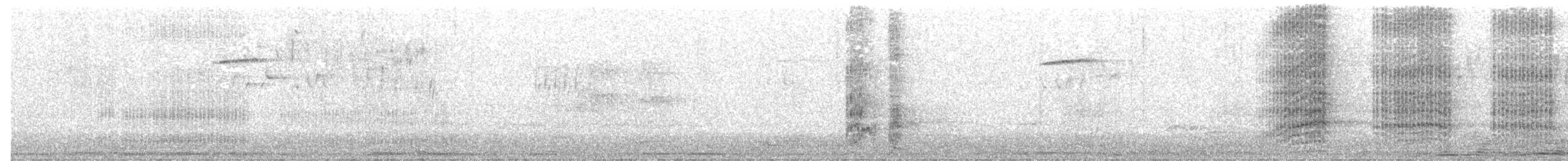 和尚鸚鵡 - ML170643481