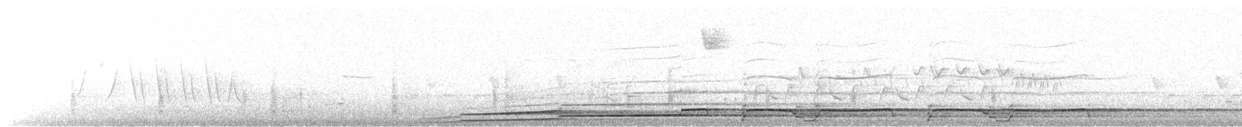 Common Loon - ML170643961