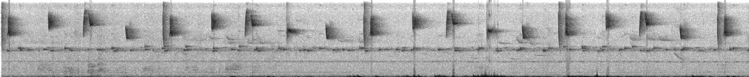 Lazuline Sabrewing - ML170658921