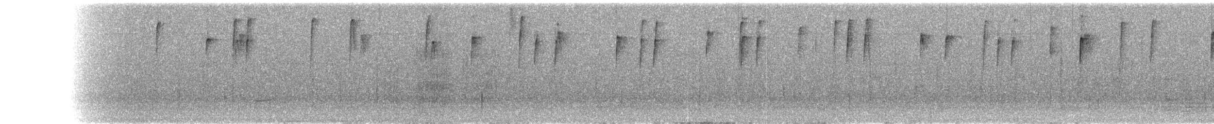 Urotangara de Stolzmann - ML170669941