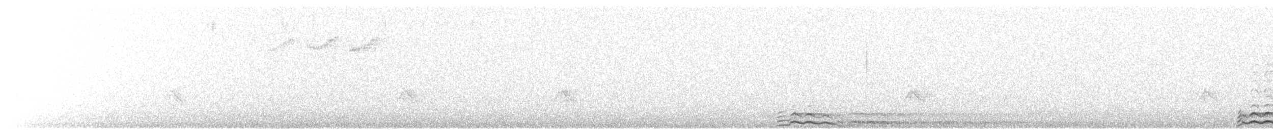 Common Loon - ML170688761