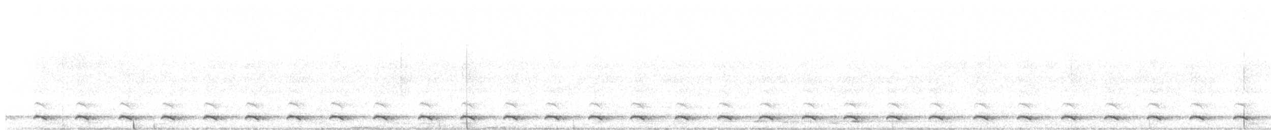 Nyctale immaculée - ML170691591