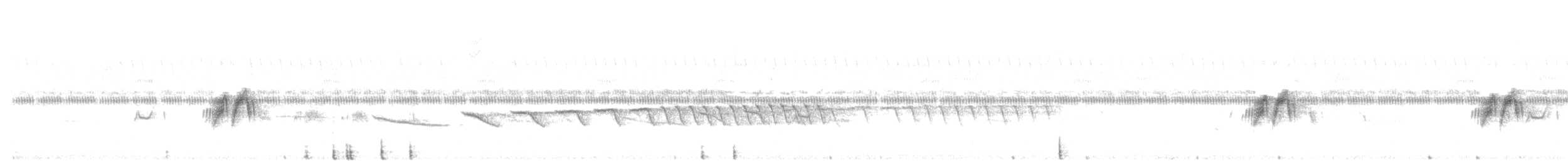 חטפית האלמון - ML170694661