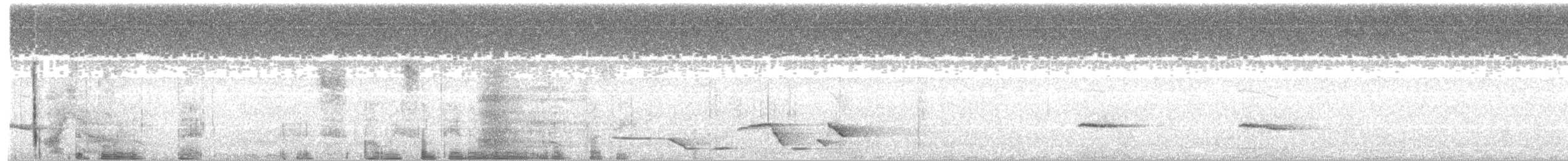 Kara Karınlı Çıtkuşu - ML170708201