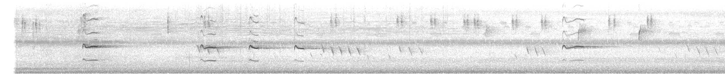 Kildir txirritxoa - ML170718731