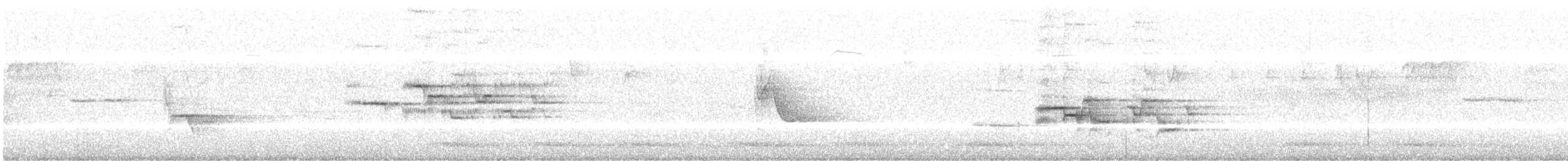 Дрізд-короткодзьоб плямистоволий - ML170727071