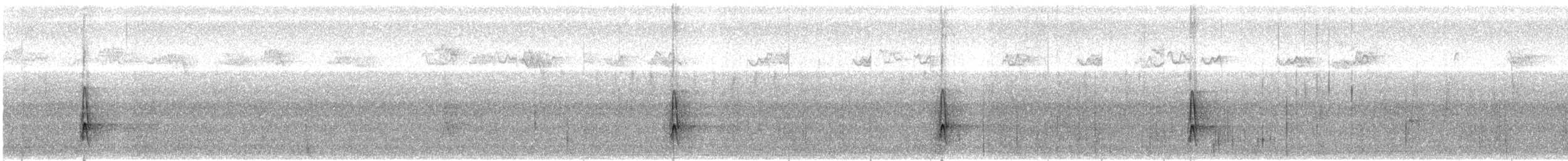 datlík smrkový - ML170745681