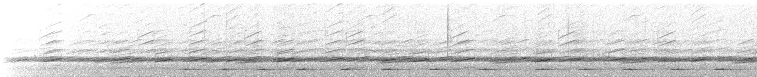 Northern Saw-whet Owl - ML170747741