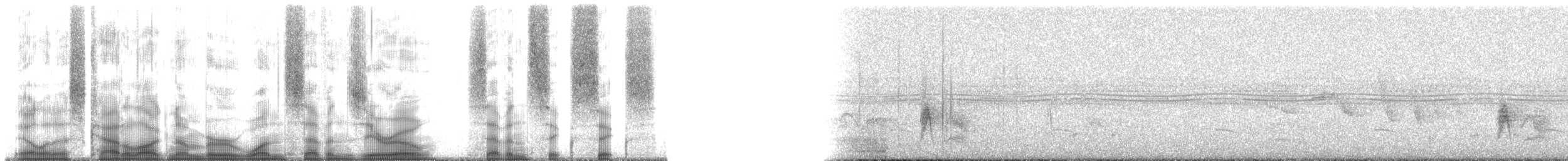 Red-winged Tinamou - ML170766