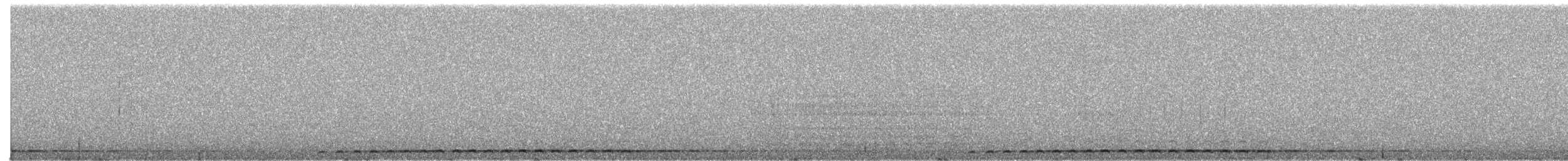 Boreal Owl - ML170767791