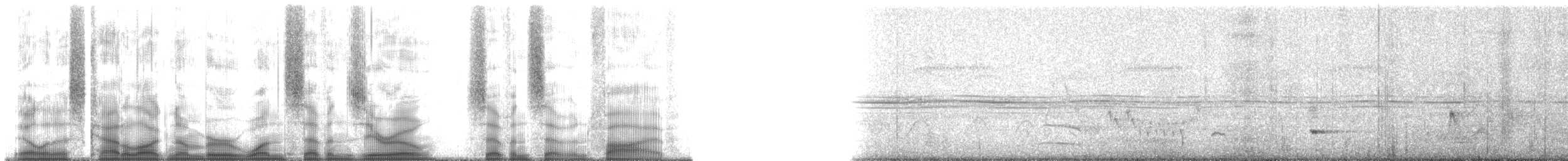 Tinamou à petit bec - ML170775