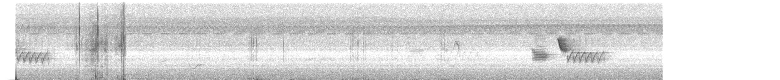 Eastern Towhee - ML170823101