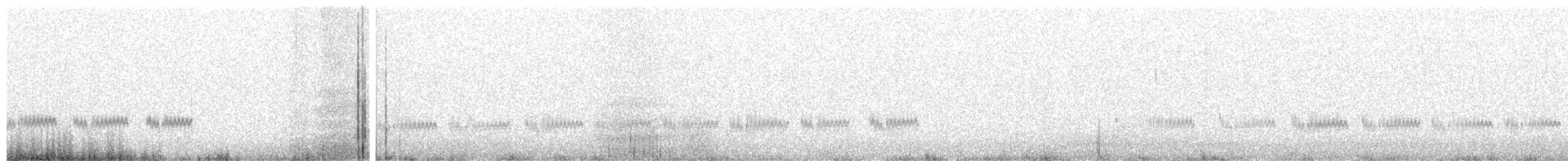 Kaşık Gagalı Kumkuşu - ML170831621
