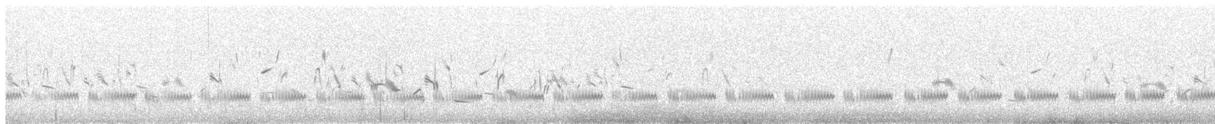 ヘラシギ - ML170831791