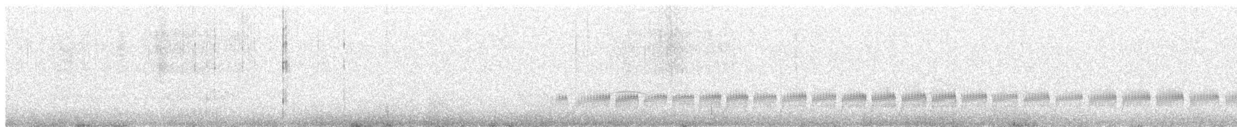 ヘラシギ - ML170831811